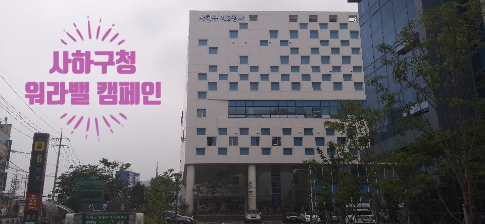 사하구청 캠페인 